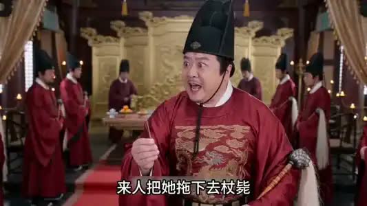 穿成宫女又何妨,我有猫狗来护航