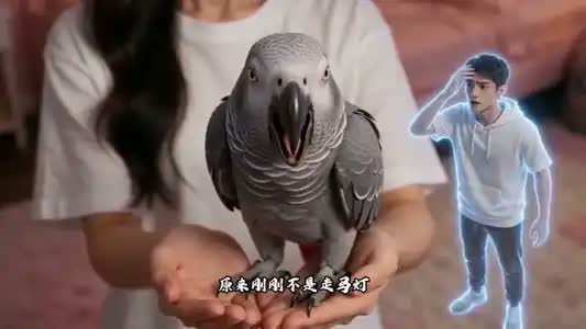 鹦鹉神探