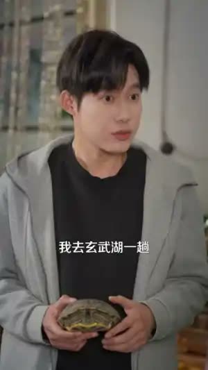 神龟寻宝，我带嫂子发家致富